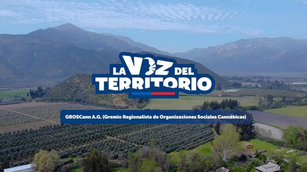 GROSCann y cannabis medicinal en Chile: Historia y misión